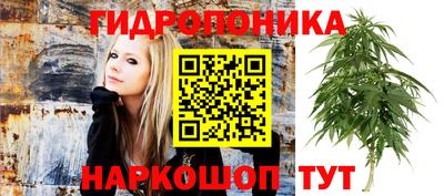 кокаин колумбия Пугачёв