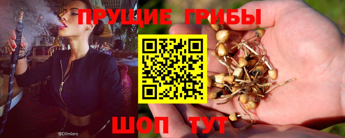 Псилоцибиновые грибы мухоморы Острогожск